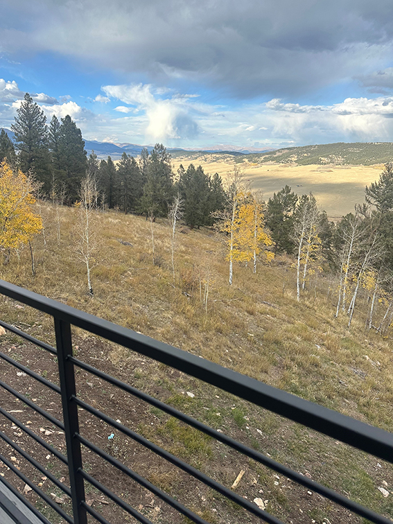 The Aspen view - Fairplay, CO