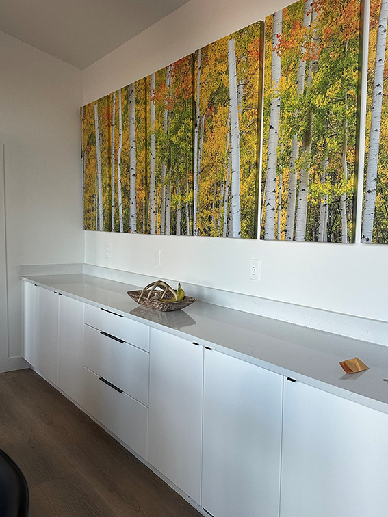 The Aspen living area - rental in Fairplay, CO
